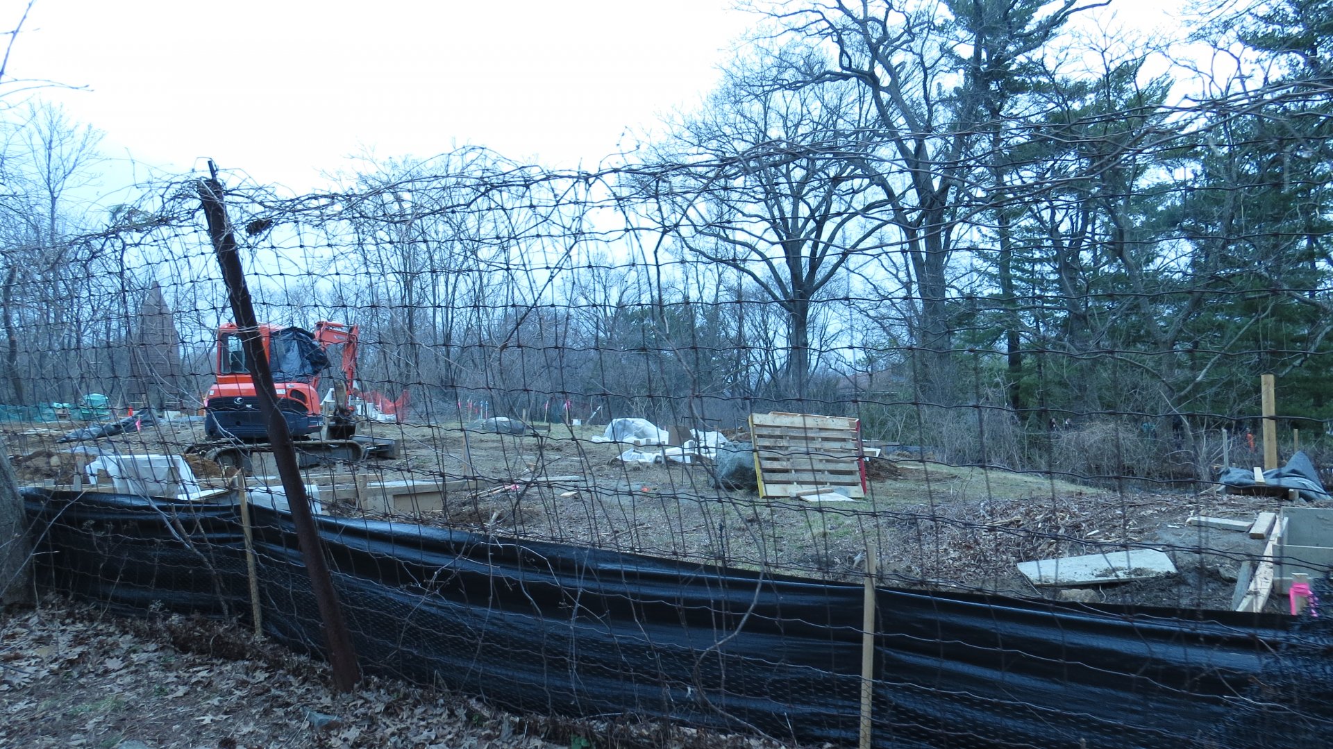 Construction on the African Plains 2 | The Bronx Zoo