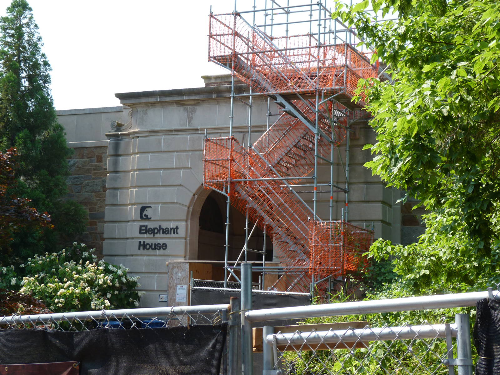 Construction on the Elephant House