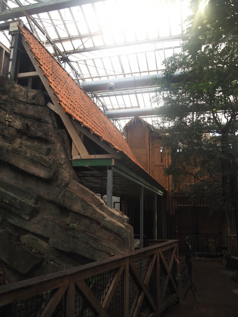 Construction on the indoor aviary in the orangutan greenhouse, 2025-03-02
