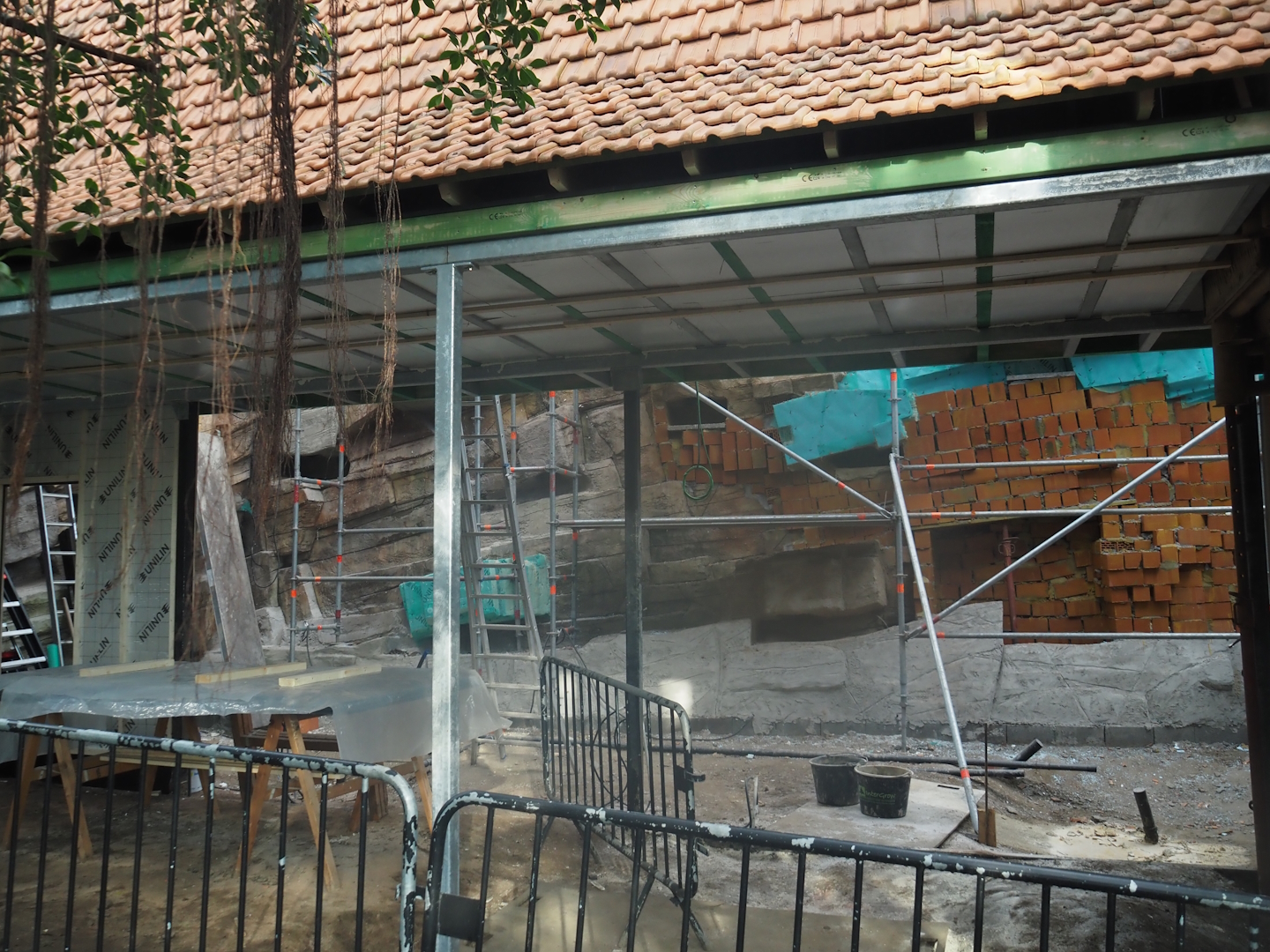 Construction on the indoor aviary in the orangutan greenhouse, 2025-03-02