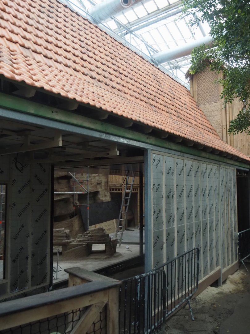 Construction on the indoor aviary in the orangutan greenhouse, 2025-03-23