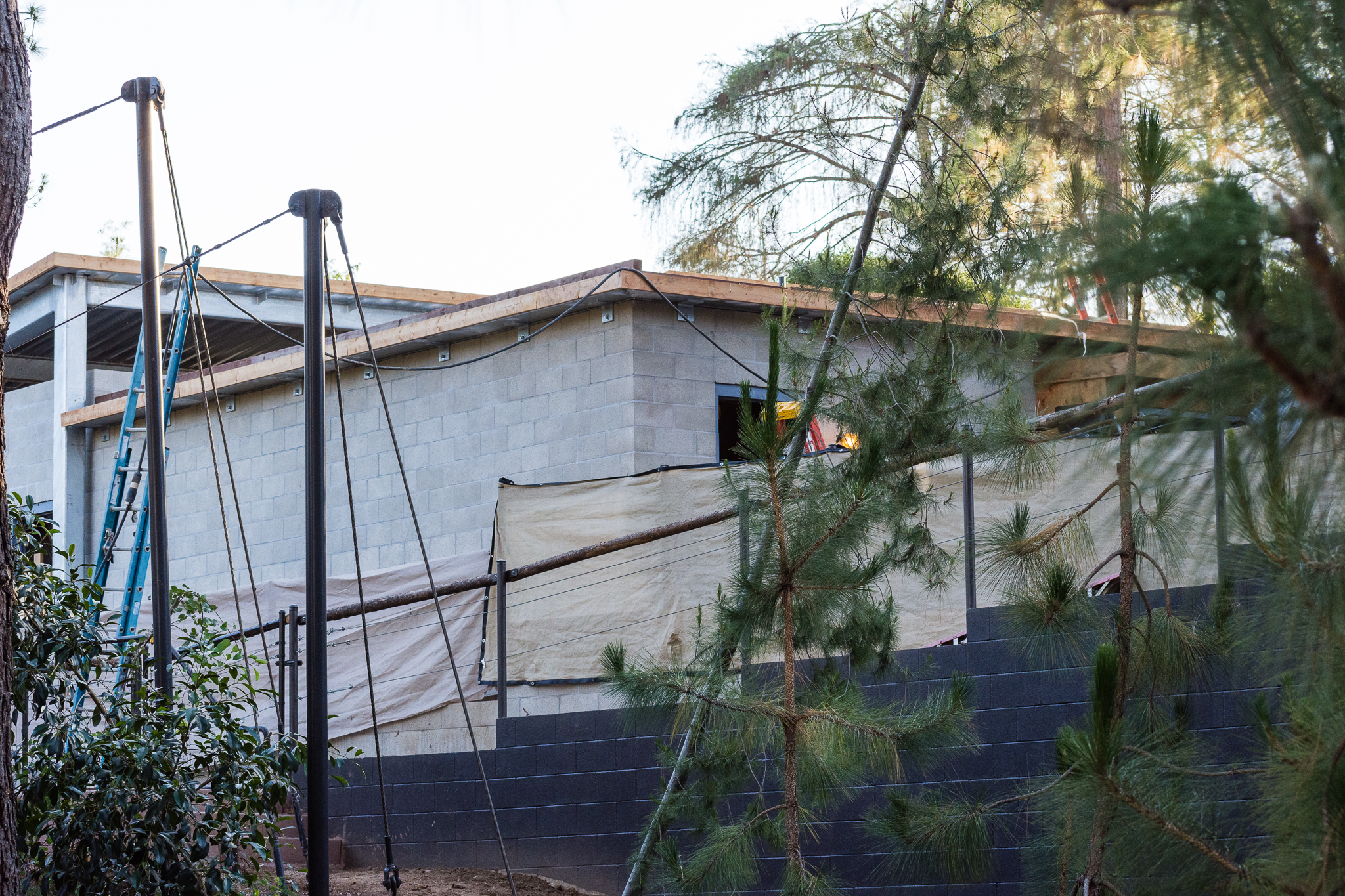 Construction on the platypus exhibit.