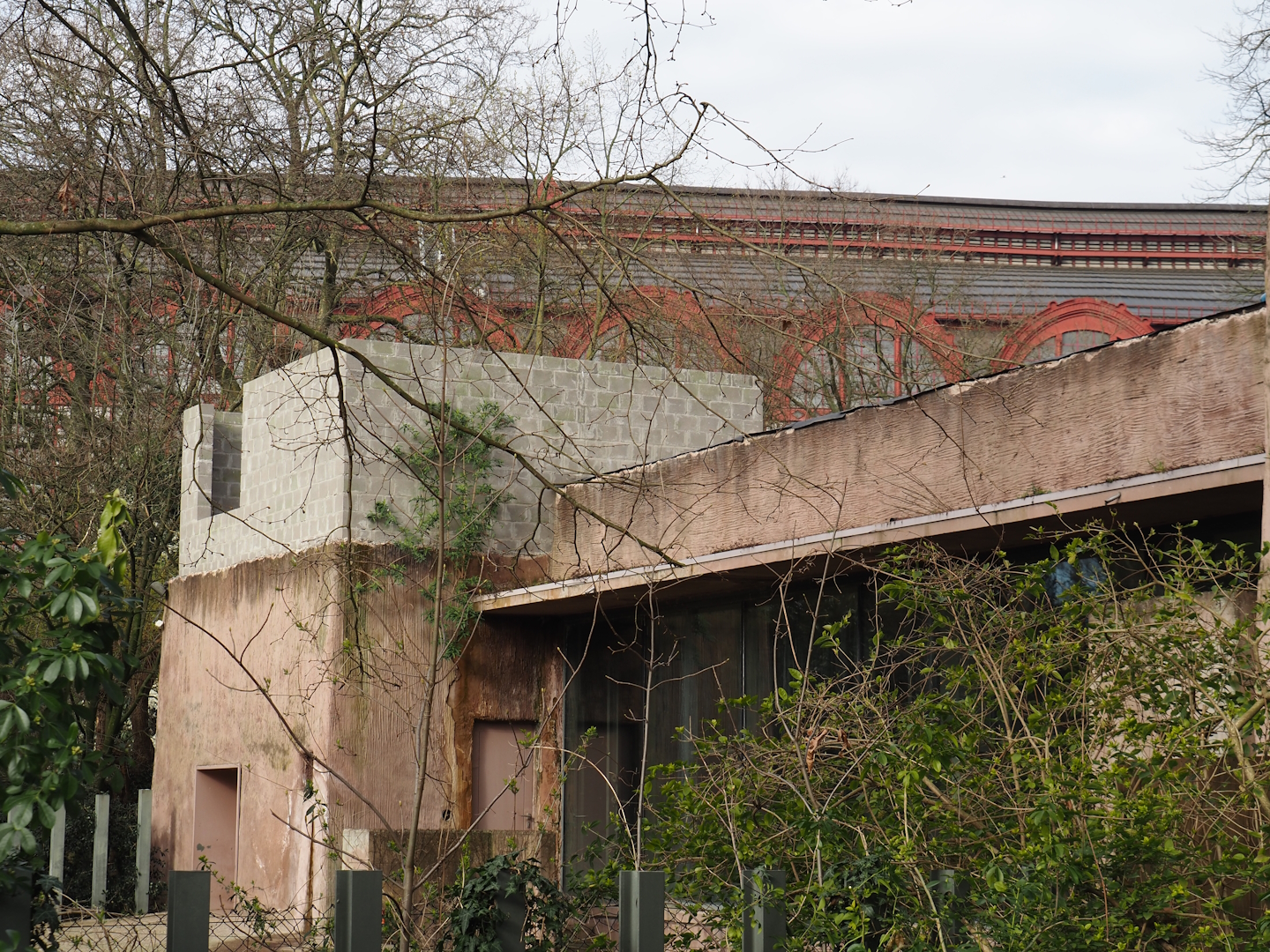 Construction on the roof of the hippopotamus house, 2024-03-09