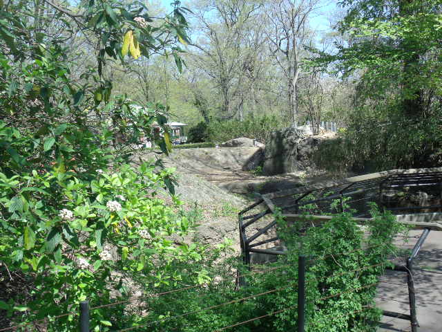 Construction (Part 2)