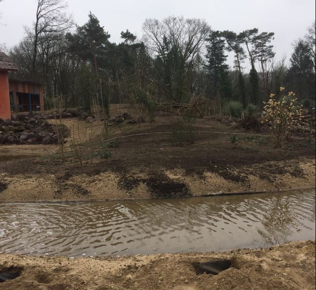 Construction progress (lemur island)