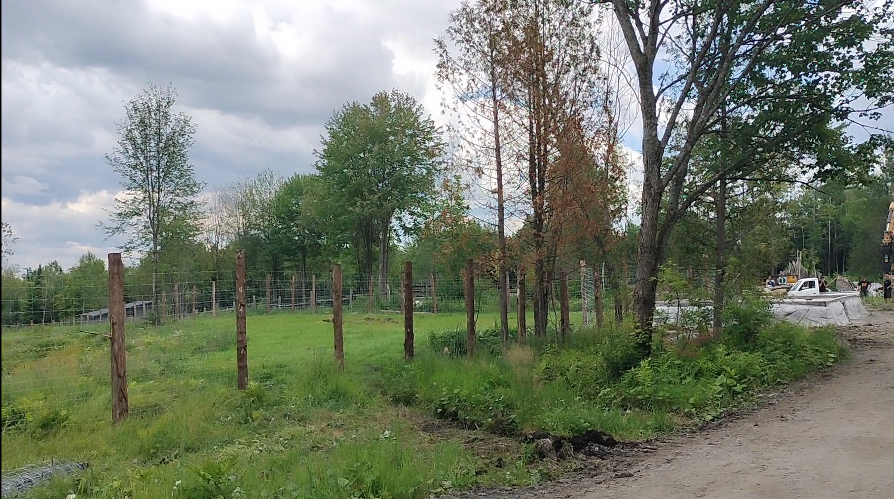 Construction progress on the equid exhibit at the Reserve