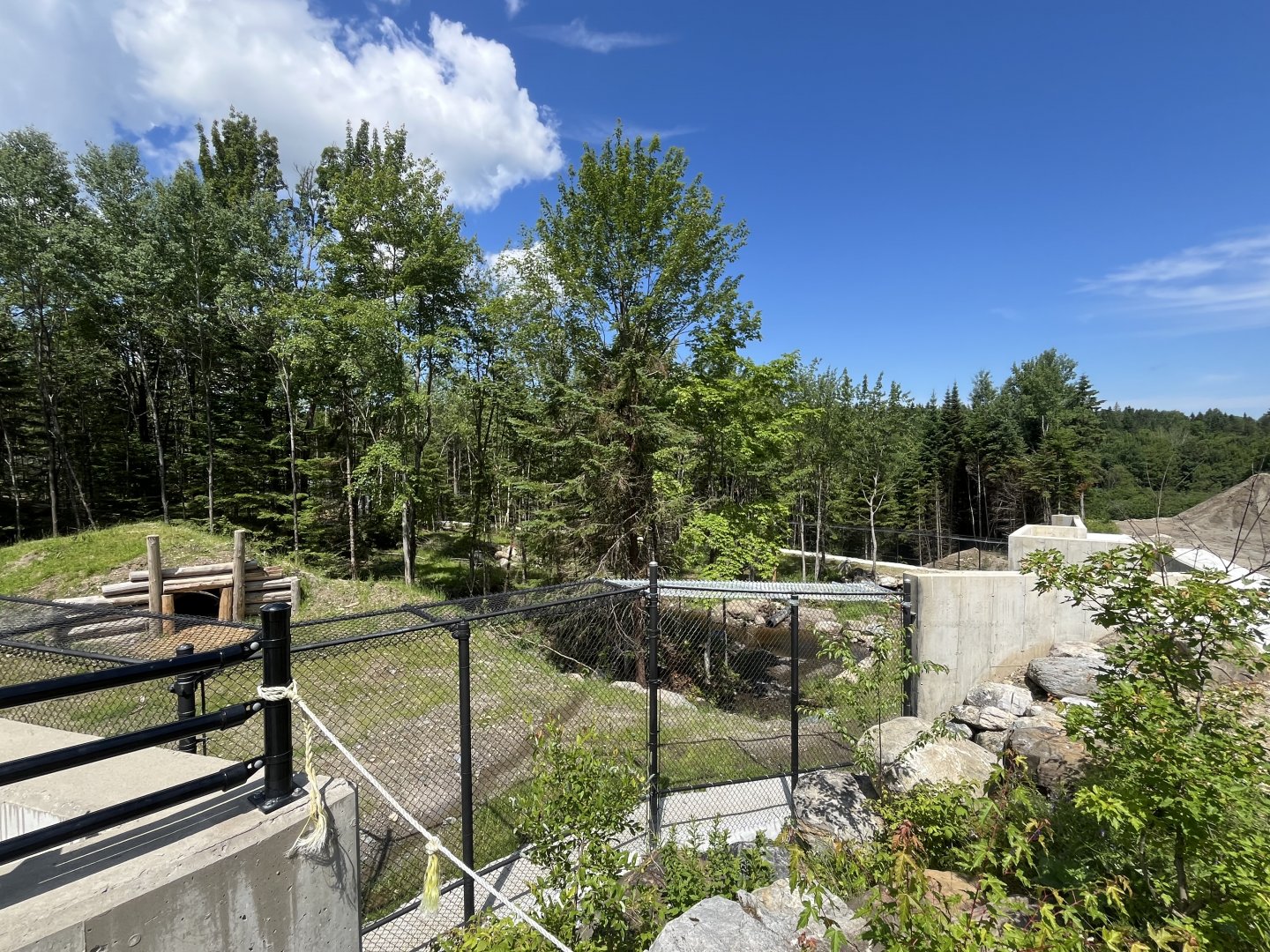 Construction progress on the new bear habitat in the reserve