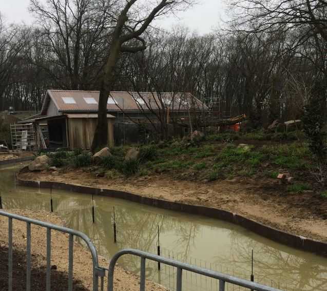 Construction progress