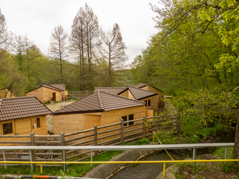 construction side - farm animals