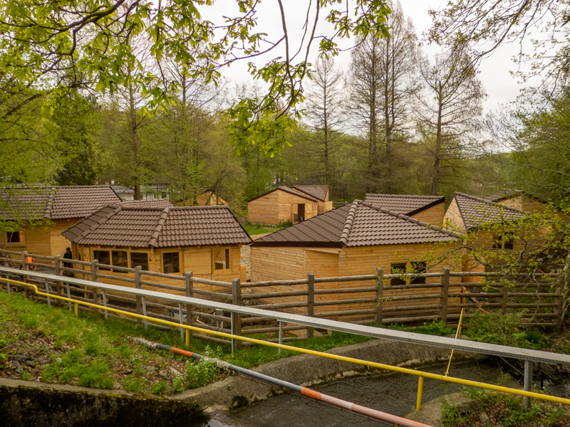 construction side - farm animals