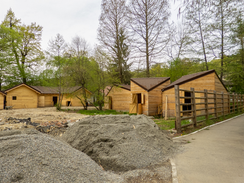 construction side - farm animals