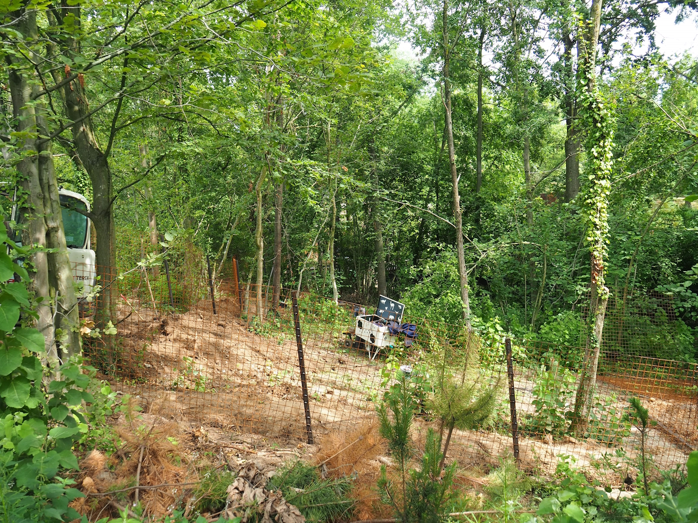 Construction site for new South American primate and bush dog area - Future expanded bush dog exhibit?, 2023-07-18