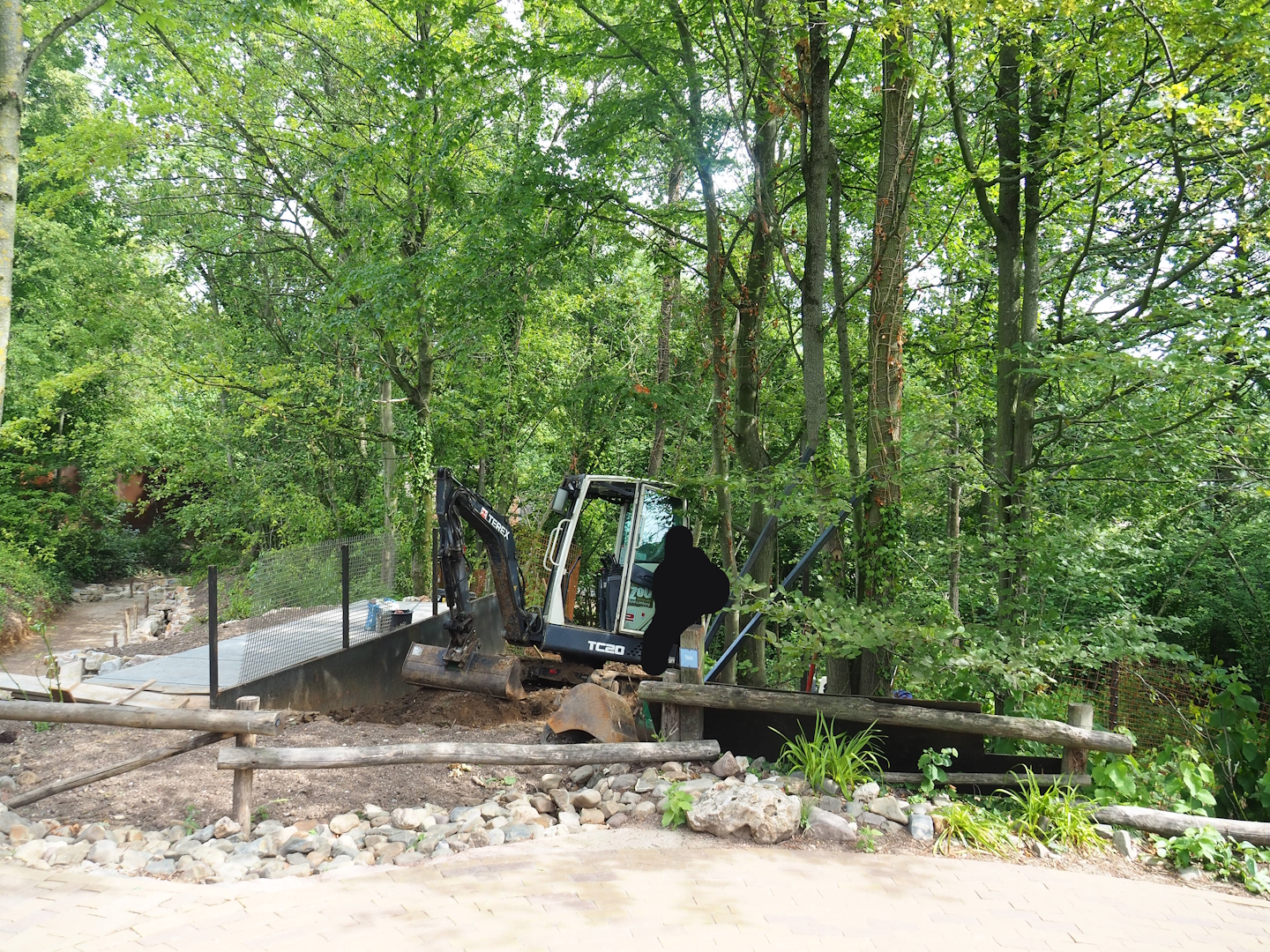 Construction site for new South American primate and bush dog area - New access road and viewing area?, 2023-07-18