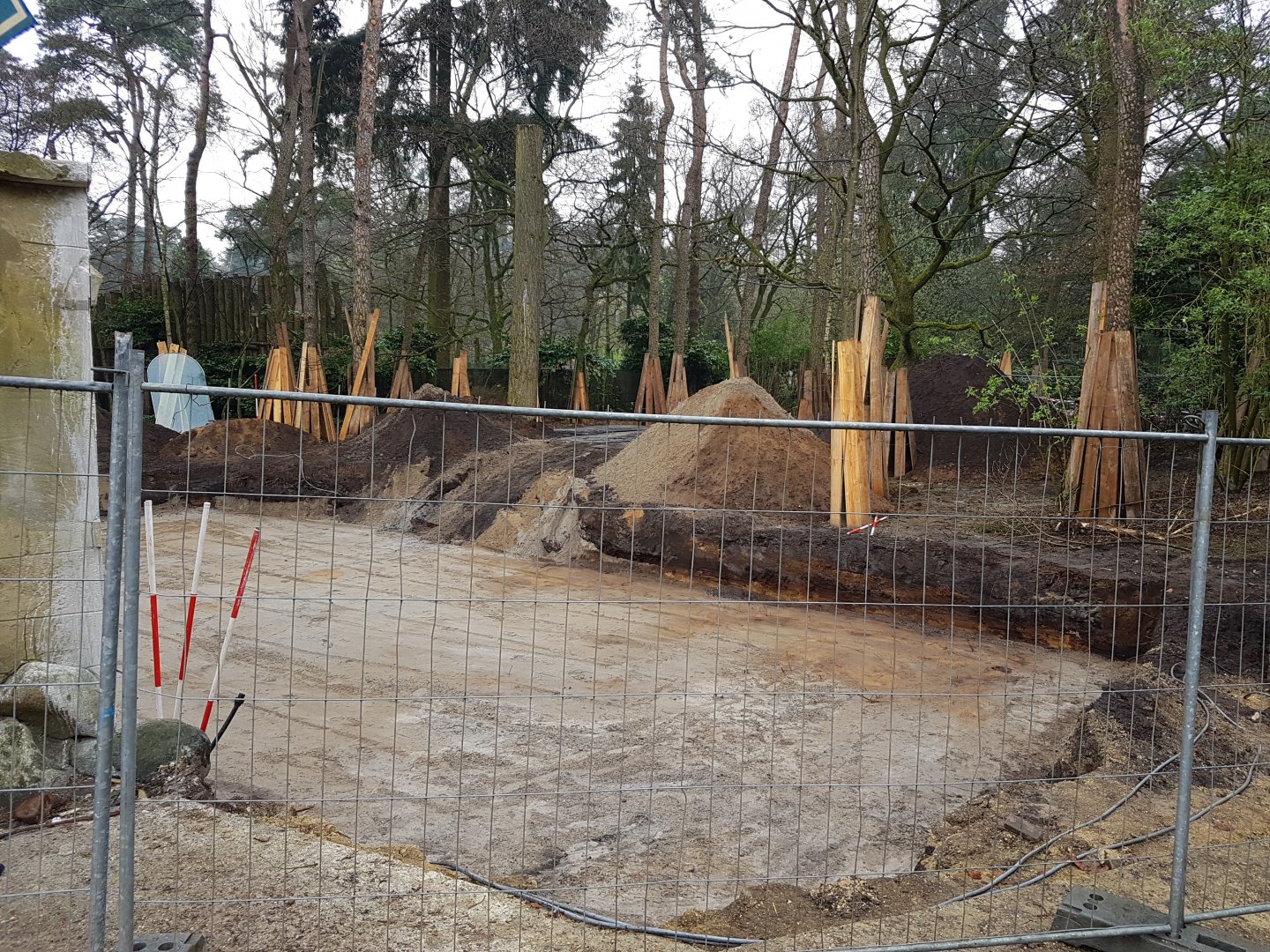 Construction-site Lion-enclosure