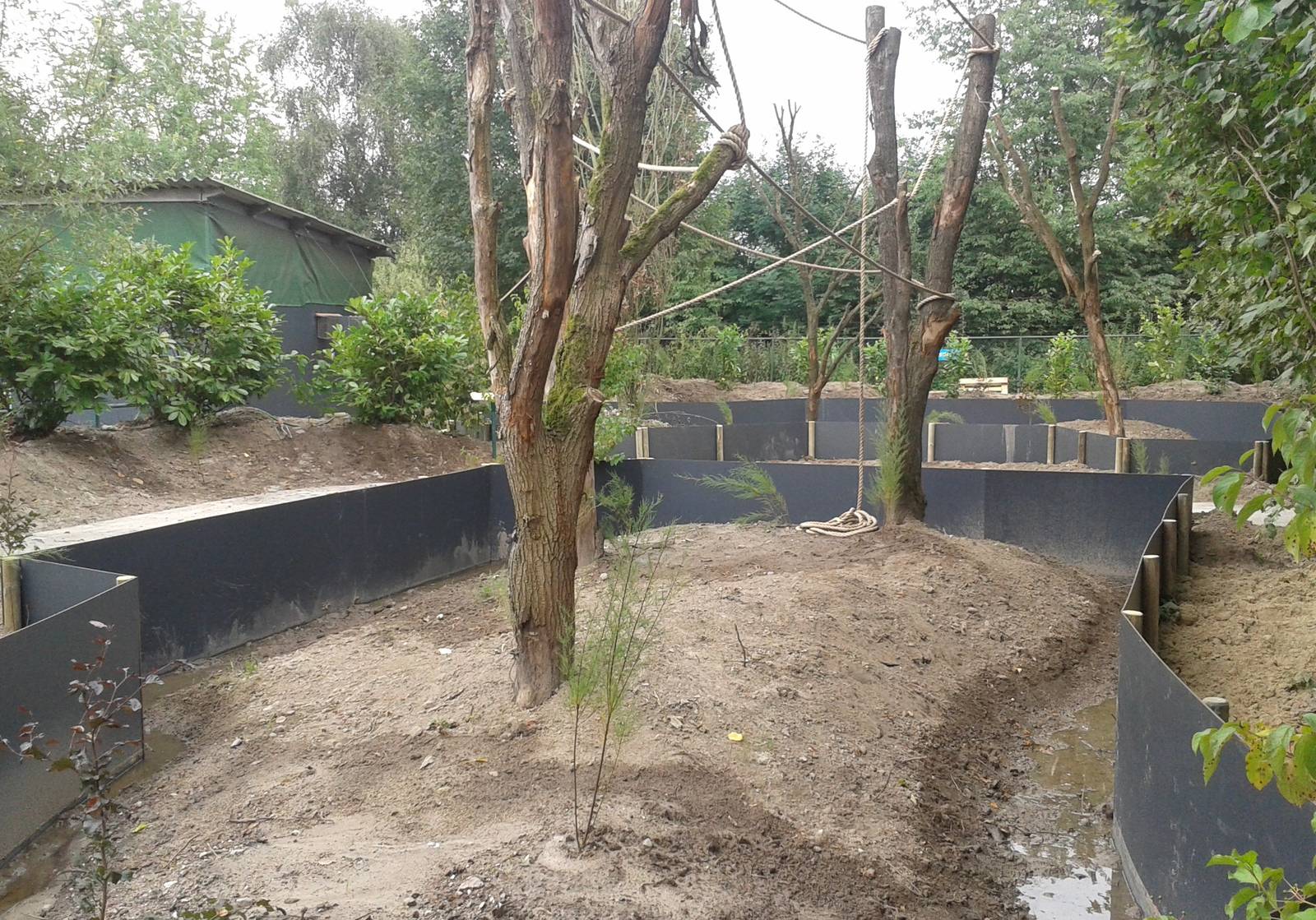 Construction-site new Marmoset enclosures