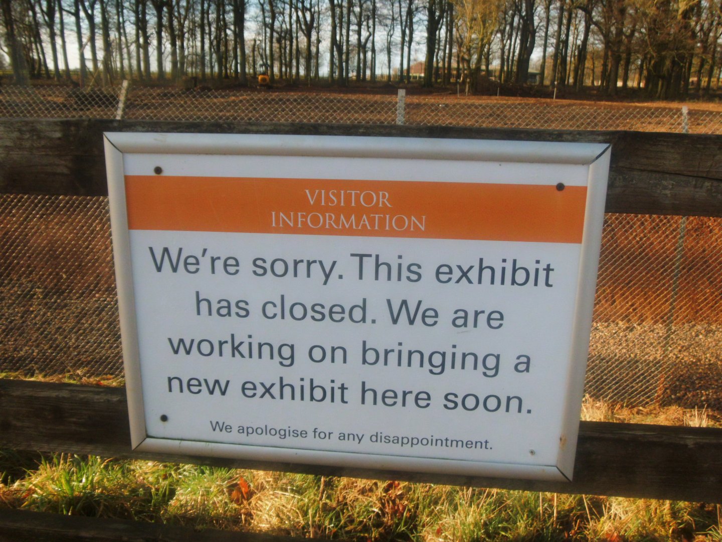 Construction site on the new African Hunting Dogs