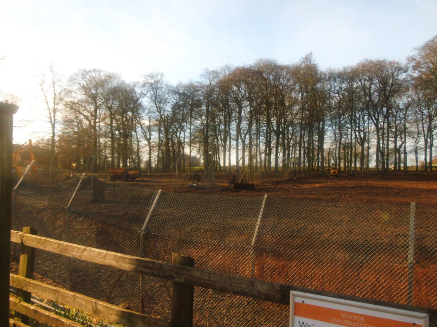 Construction site on the new African Hunting Dogs