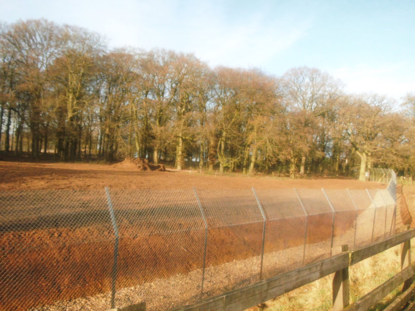 Construction site on the new African Hunting Dogs