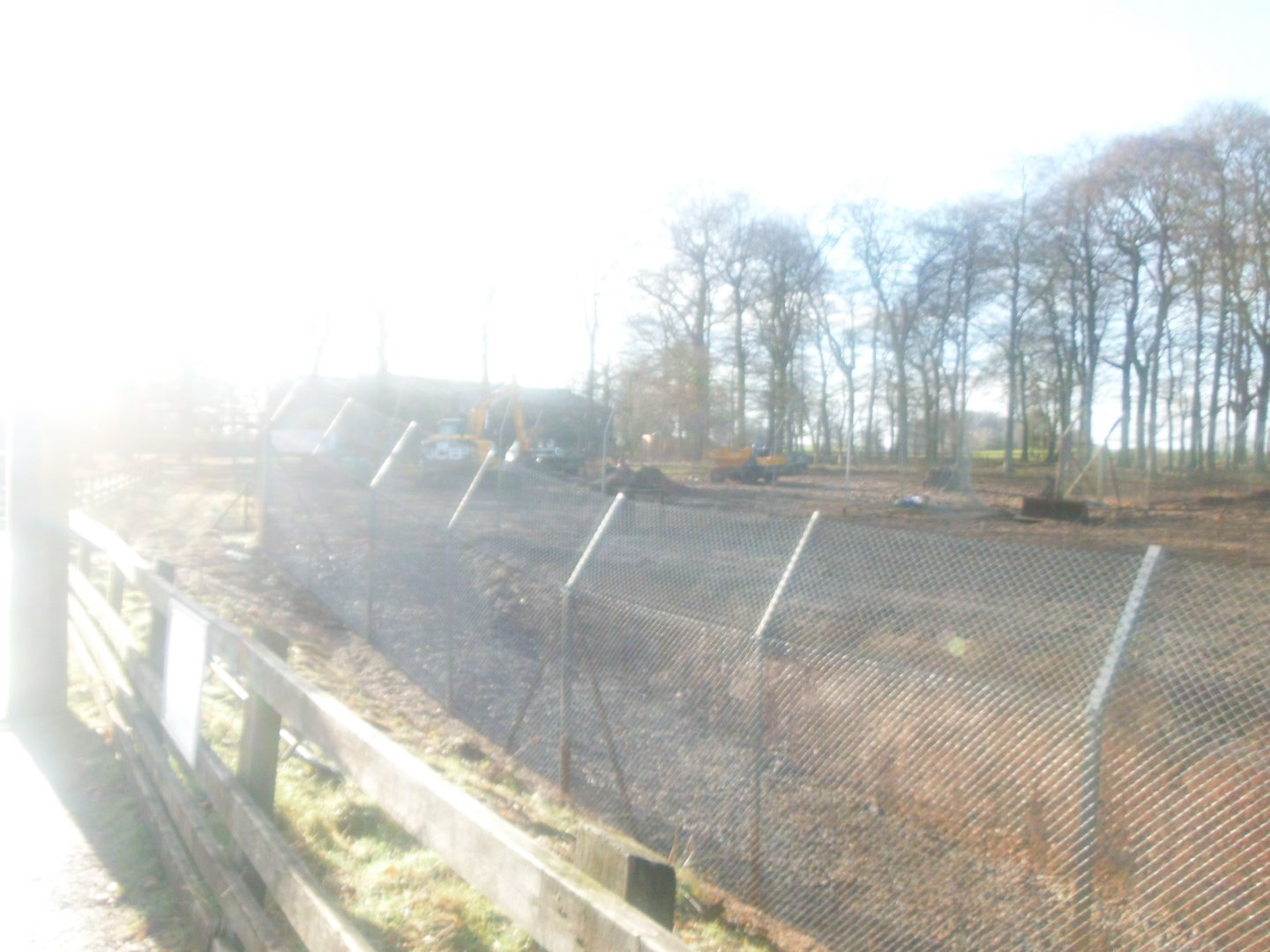 Construction site on the new African Hunting Dogs