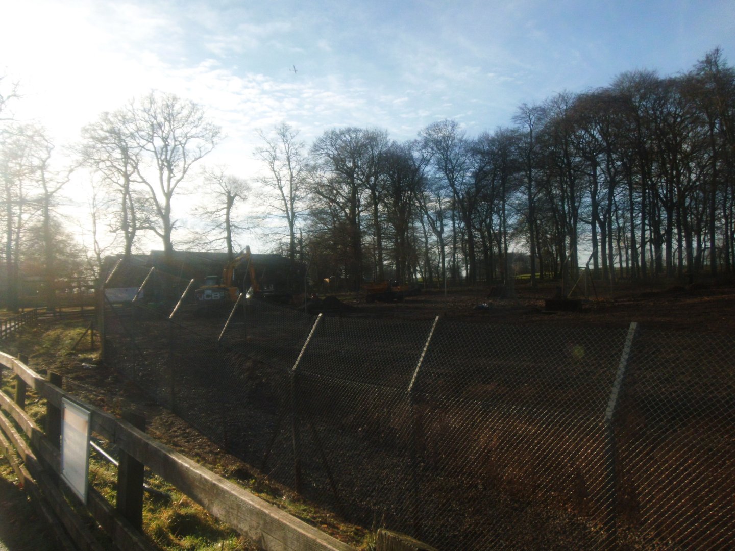 Construction site on the new African Hunting Dogs