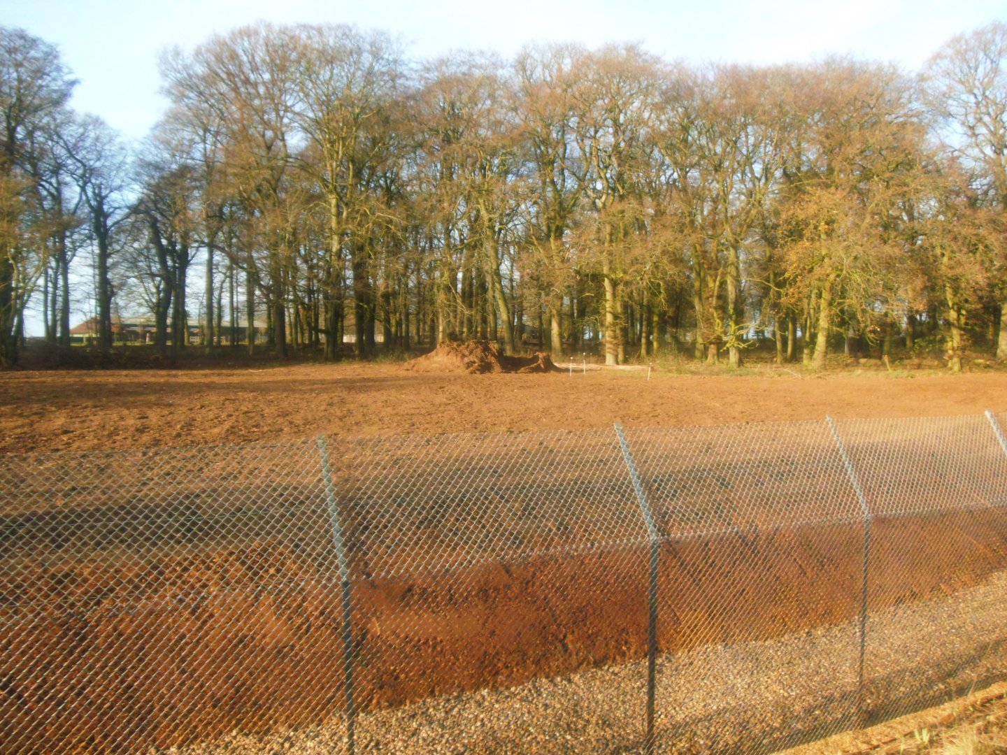 Construction site on the new African Hunting Dogs