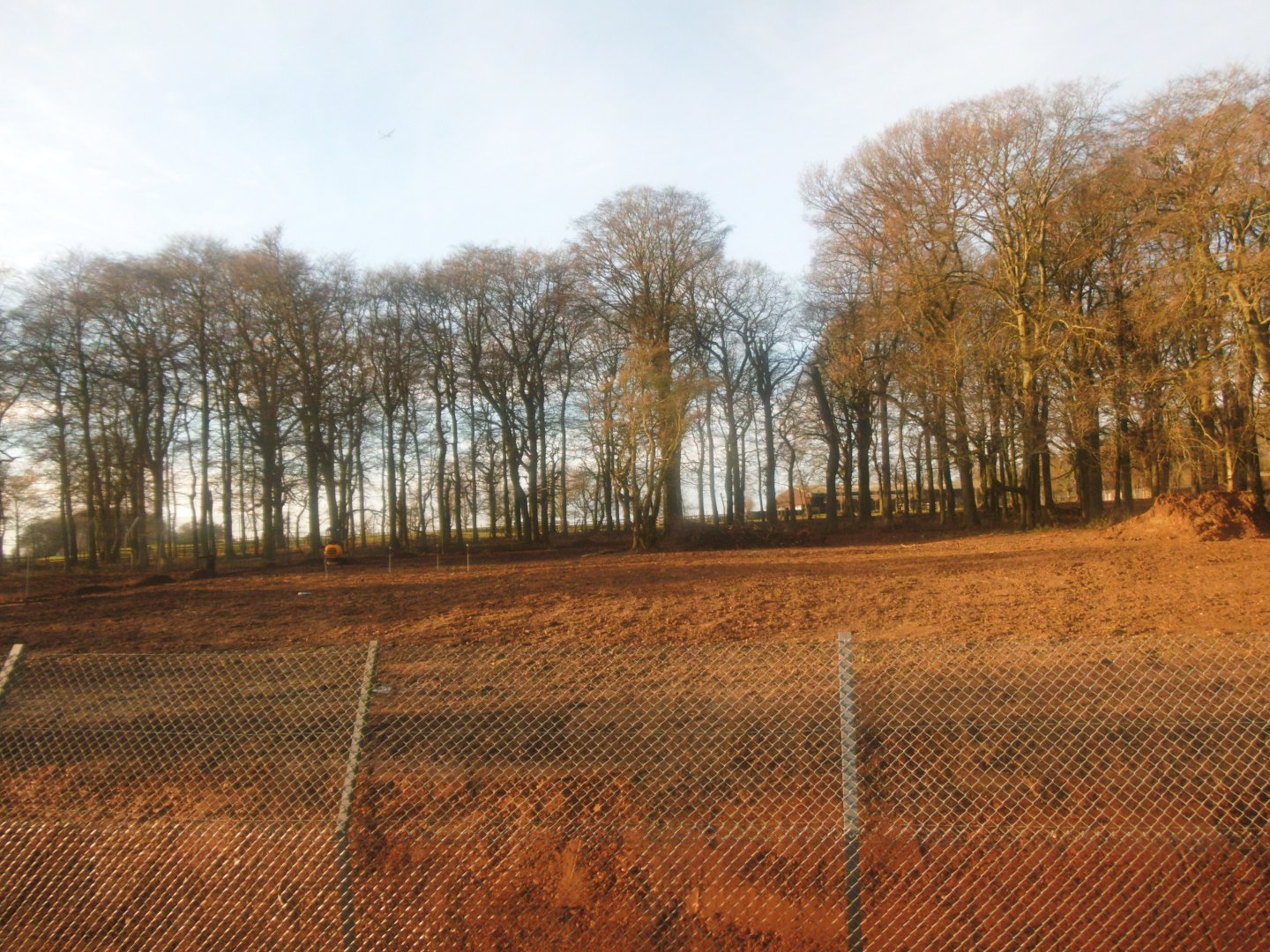 Construction site on the new African Hunting Dogs