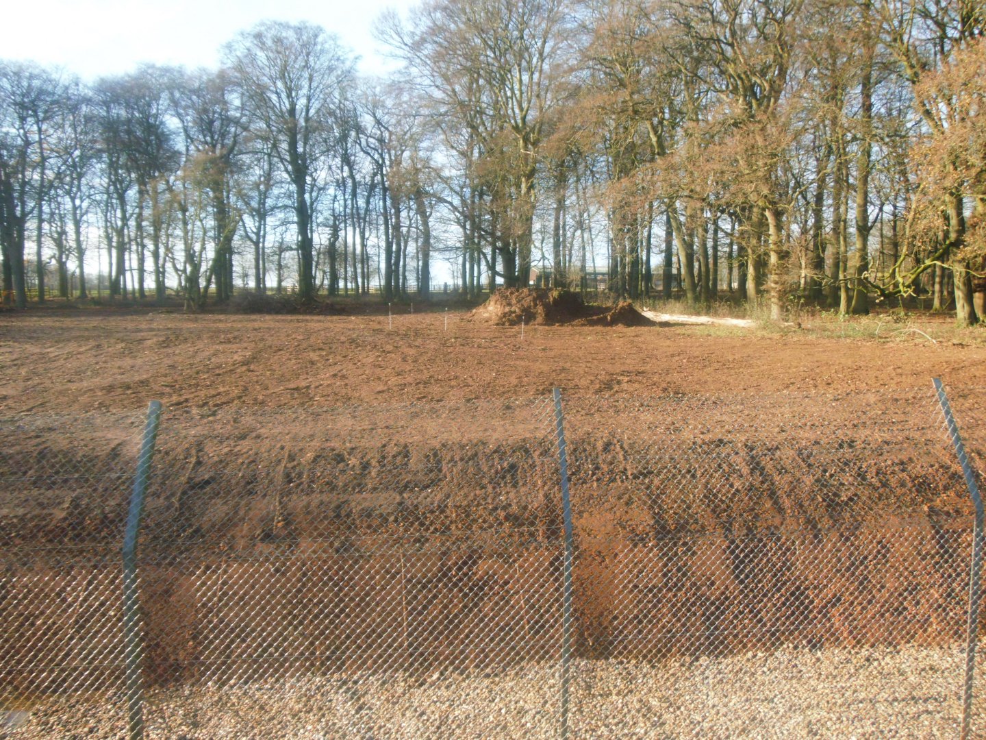 Construction site on the new African Hunting Dogs