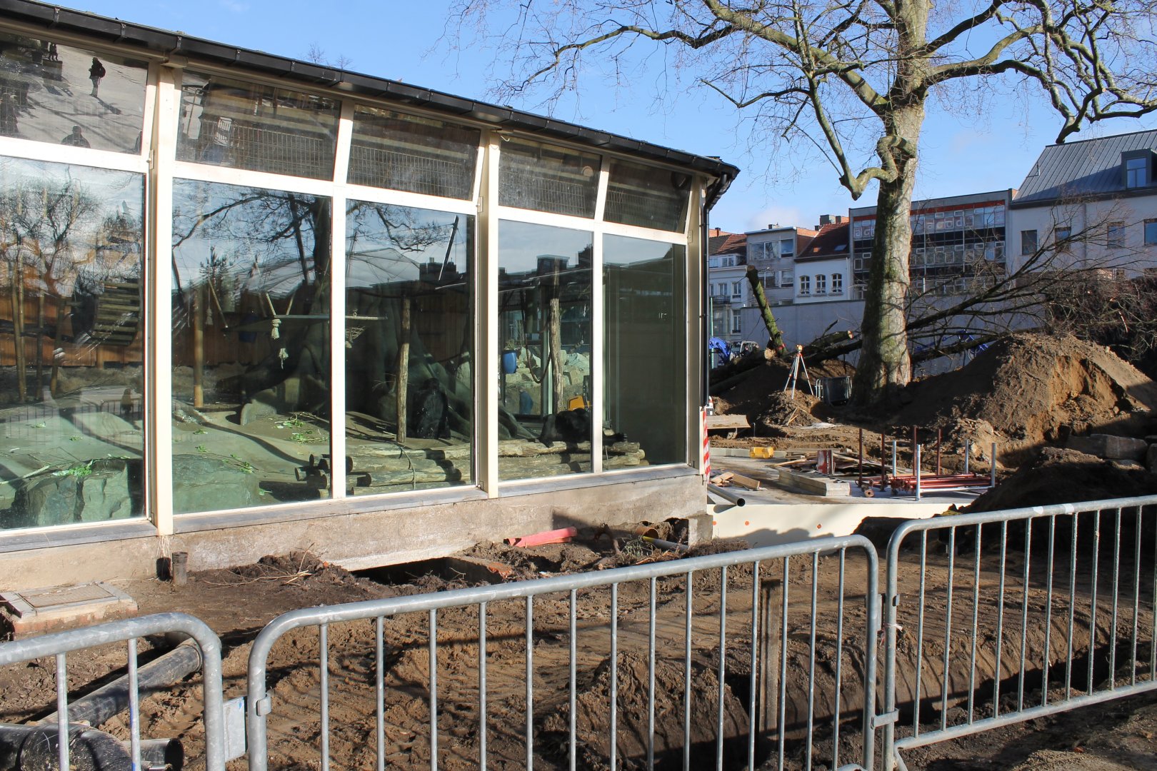 Construction-site outside Ape-house