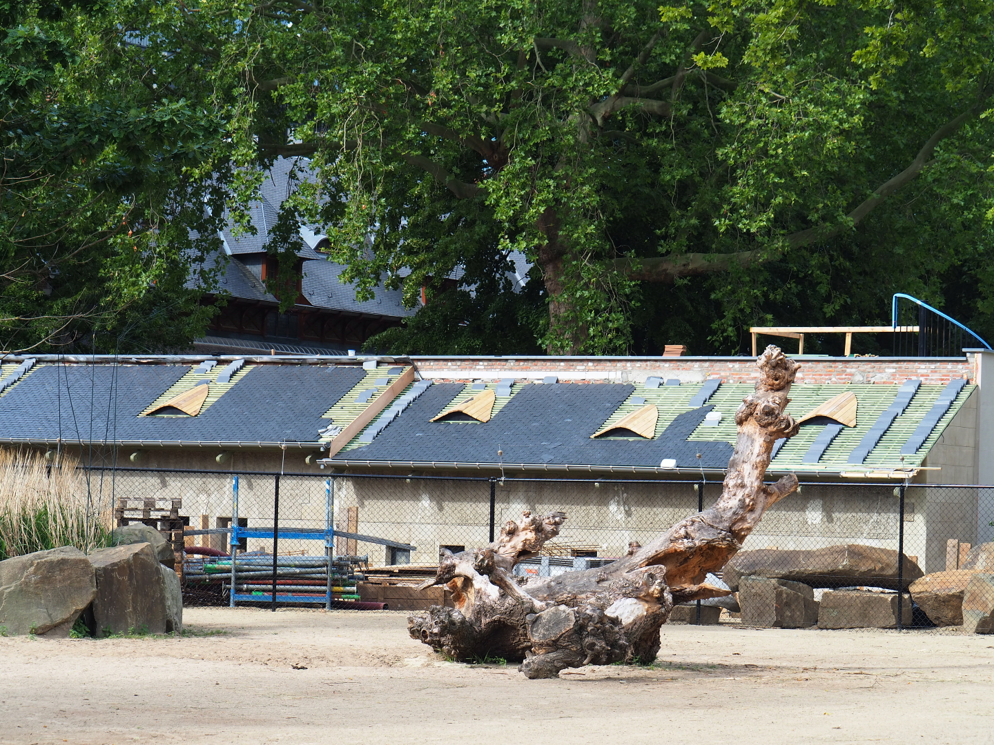 Construction site pig house, 2020-06-28