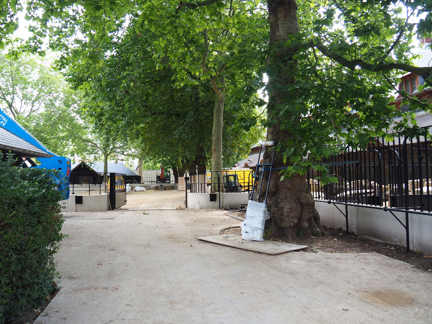 Construction site White rhinoceros paddock outside historic bovine house, 2020-06-28, 2020-06-28