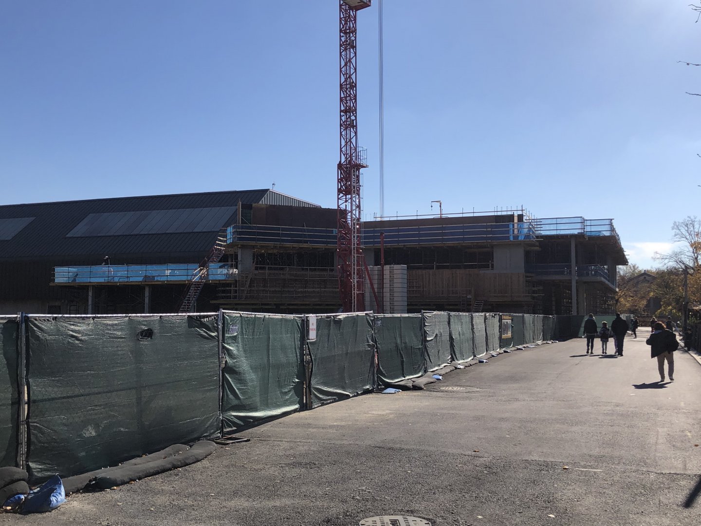Construction update- new gorilla building