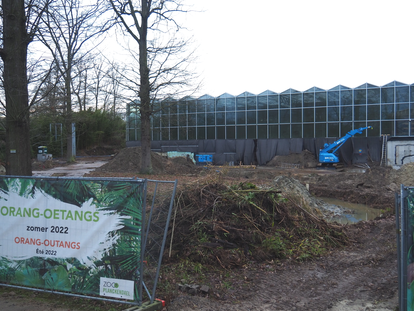 Construction update Orangutan project, 2022-01-02