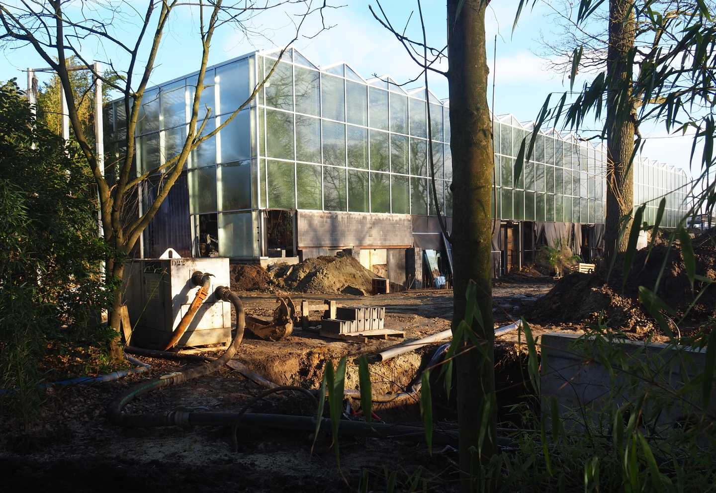 Construction update orangutan project, 2022-02-12