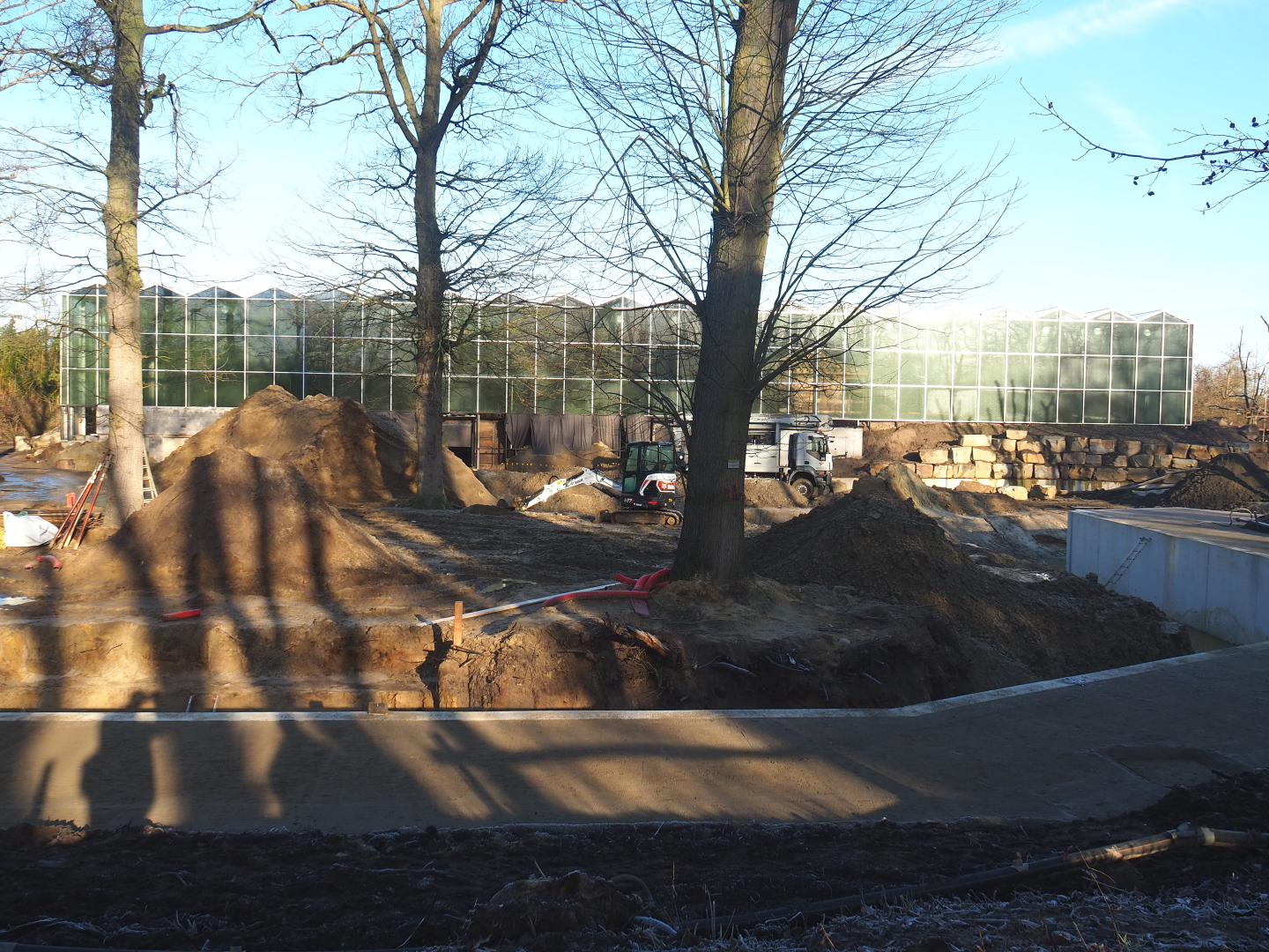 Construction update orangutan project, 2022-02-12