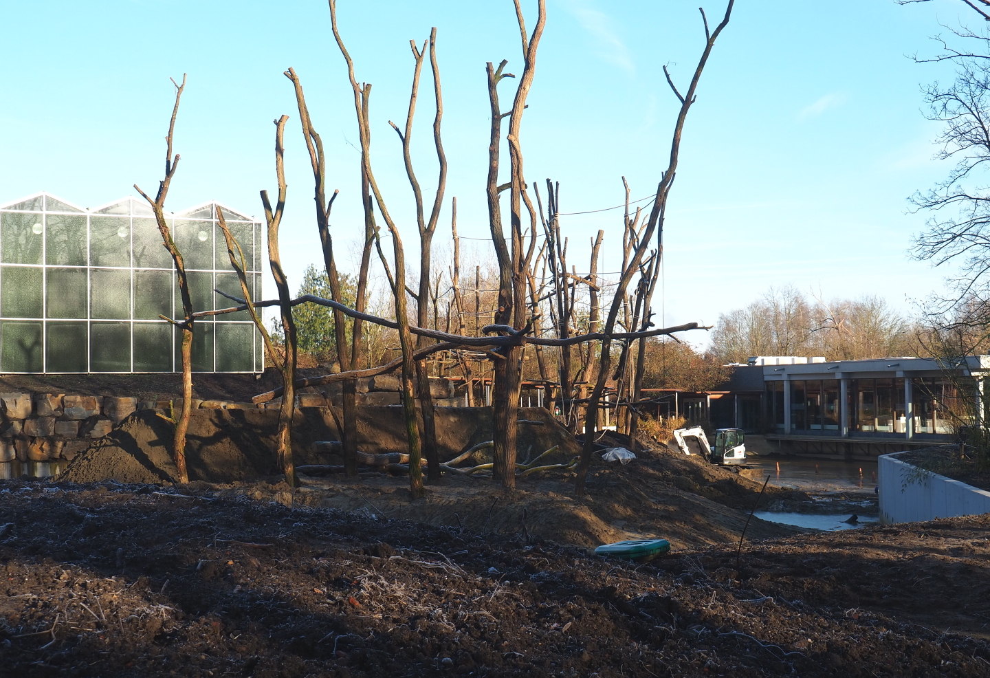 Construction update orangutan project, 2022-02-12