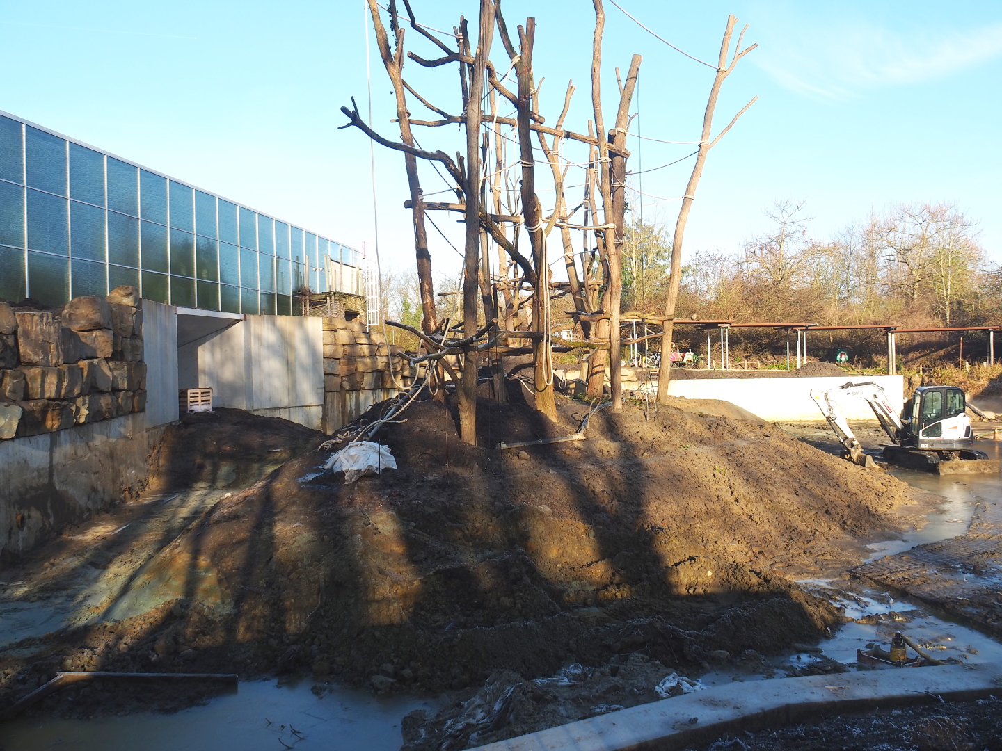 Construction update orangutan project, 2022-02-12