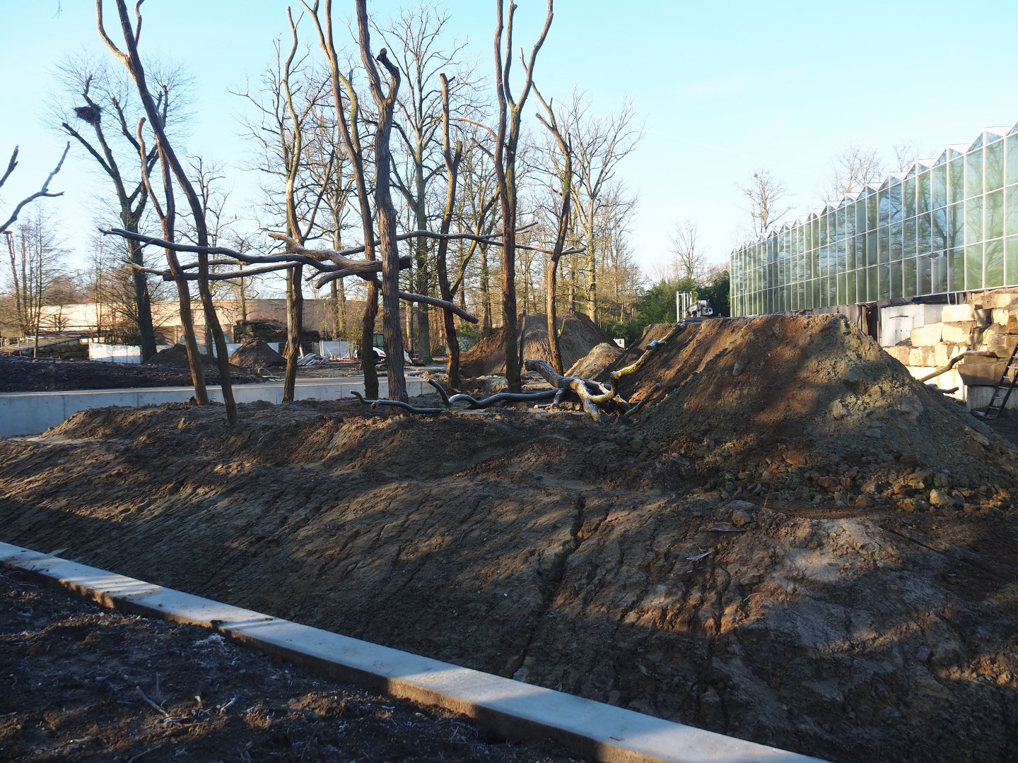 Construction update orangutan project, 2022-02-12