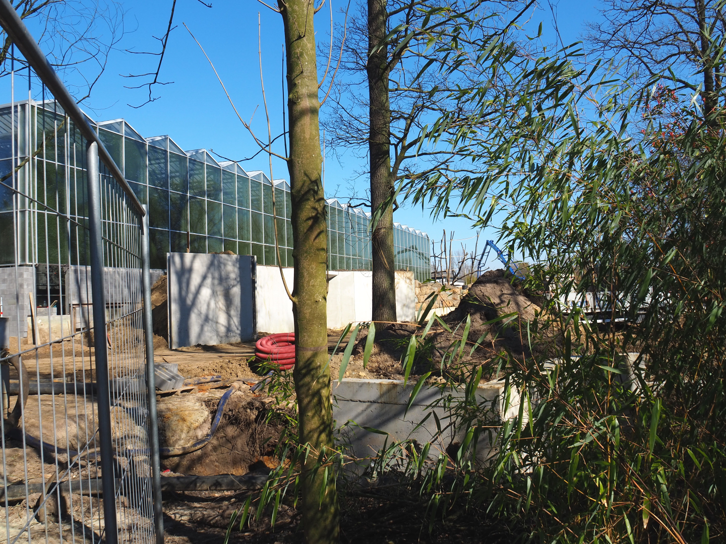 Construction update orangutan project, at ground level, 2022-03-08