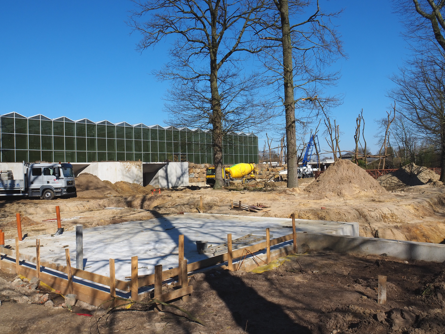 Construction update orangutan project, at ground level, 2022-03-08