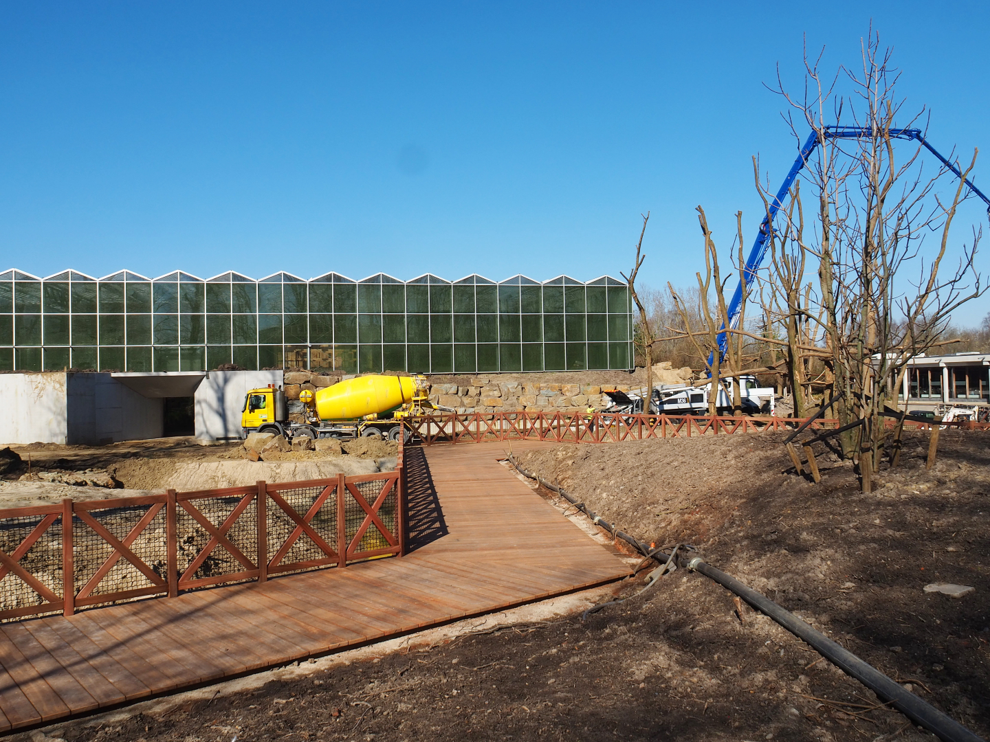 Construction update orangutan project, at ground level, 2022-03-08