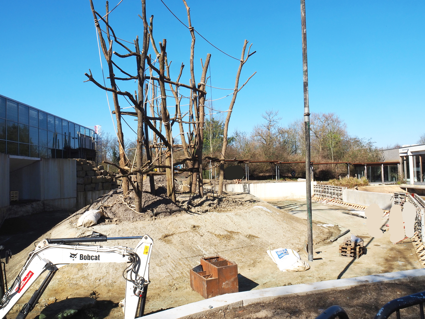 Construction update orangutan project, at ground level, 2022-03-08