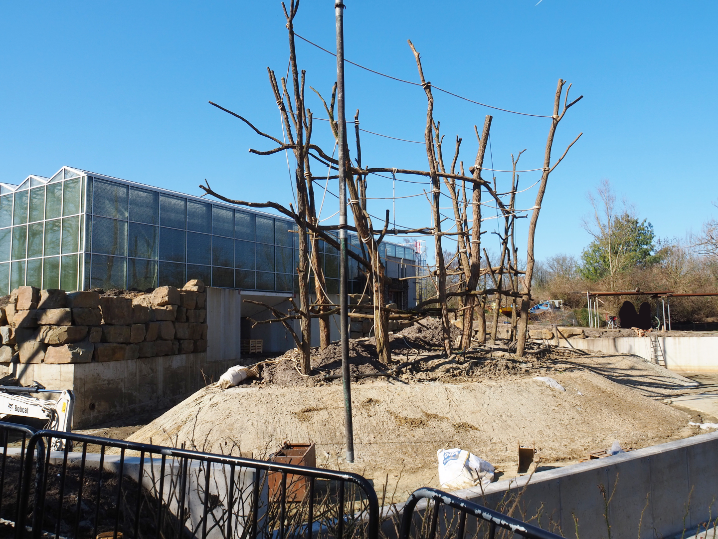 Construction update orangutan project, at ground level, 2022-03-08