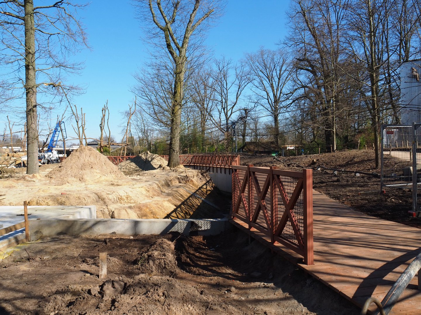 Construction update orangutan project, at ground level - New road, 2022-03-08