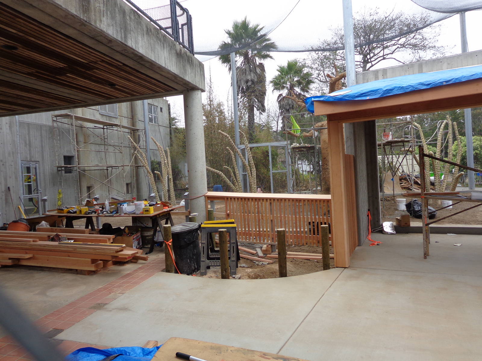 Construction Update: Sifaka #2