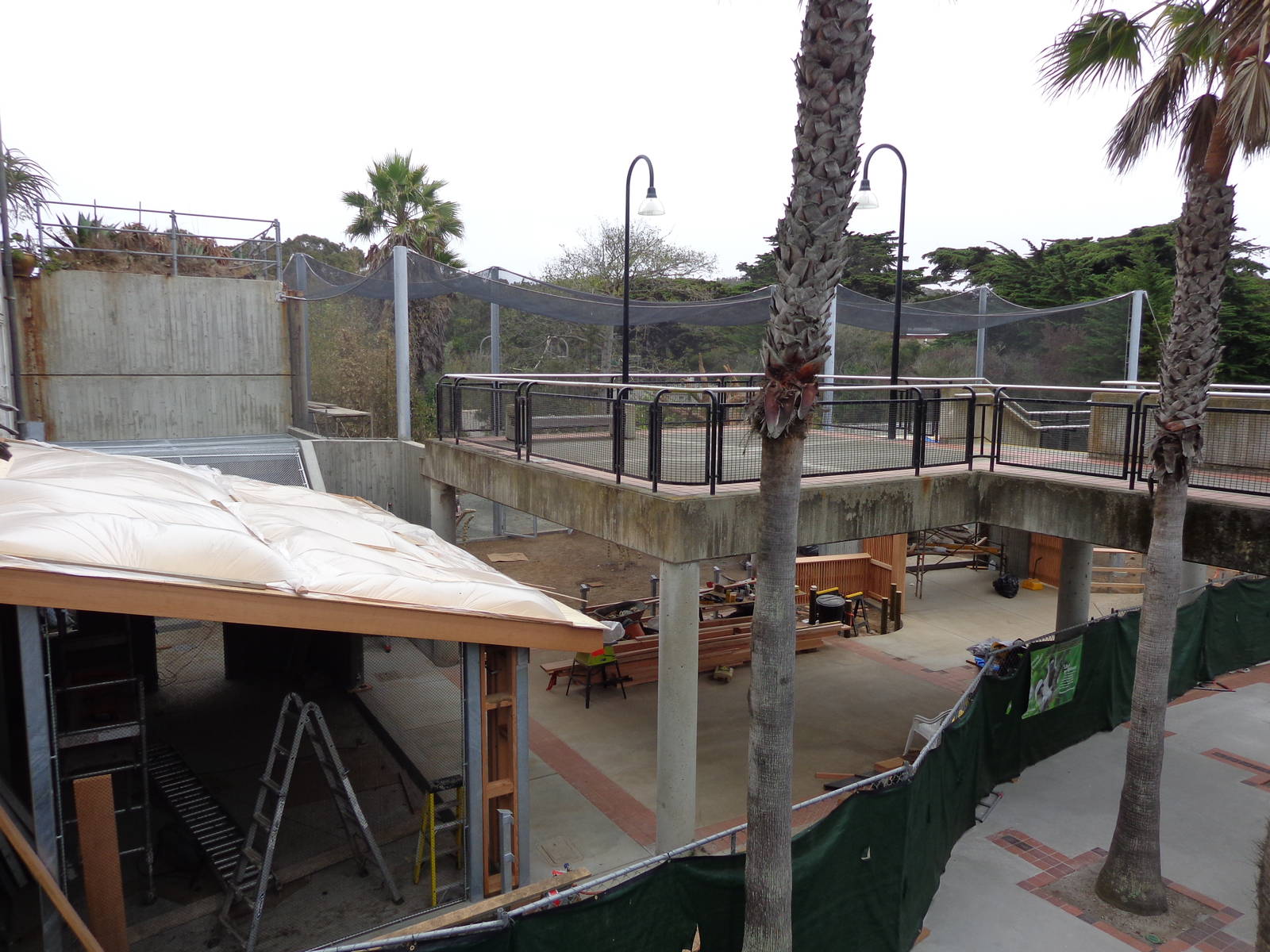 Construction Update: Sifaka #3