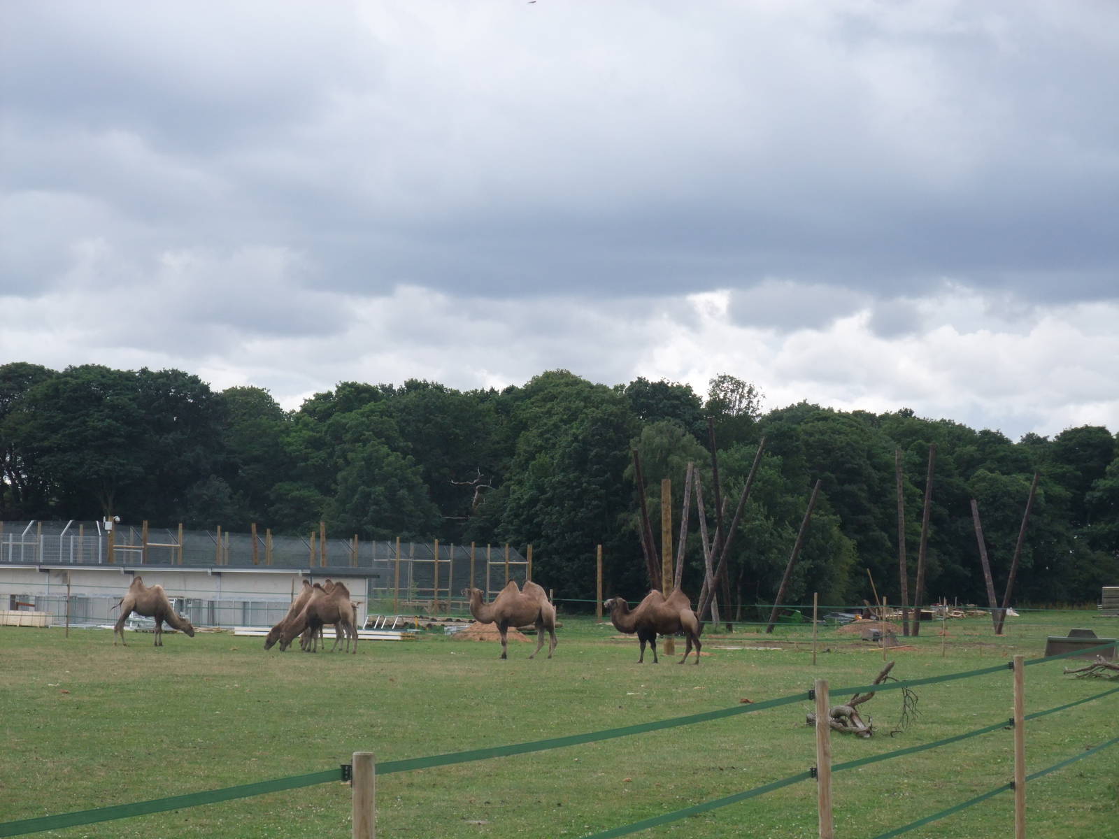 Construction View at Yorkshire WP, 07/08/11