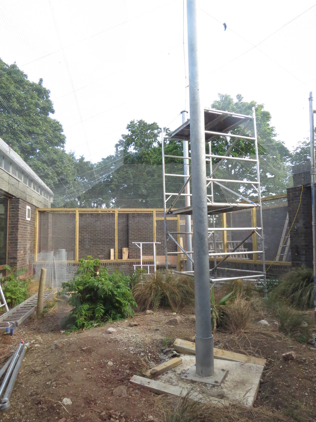 Construction work - Clore aviary?, July 2015.