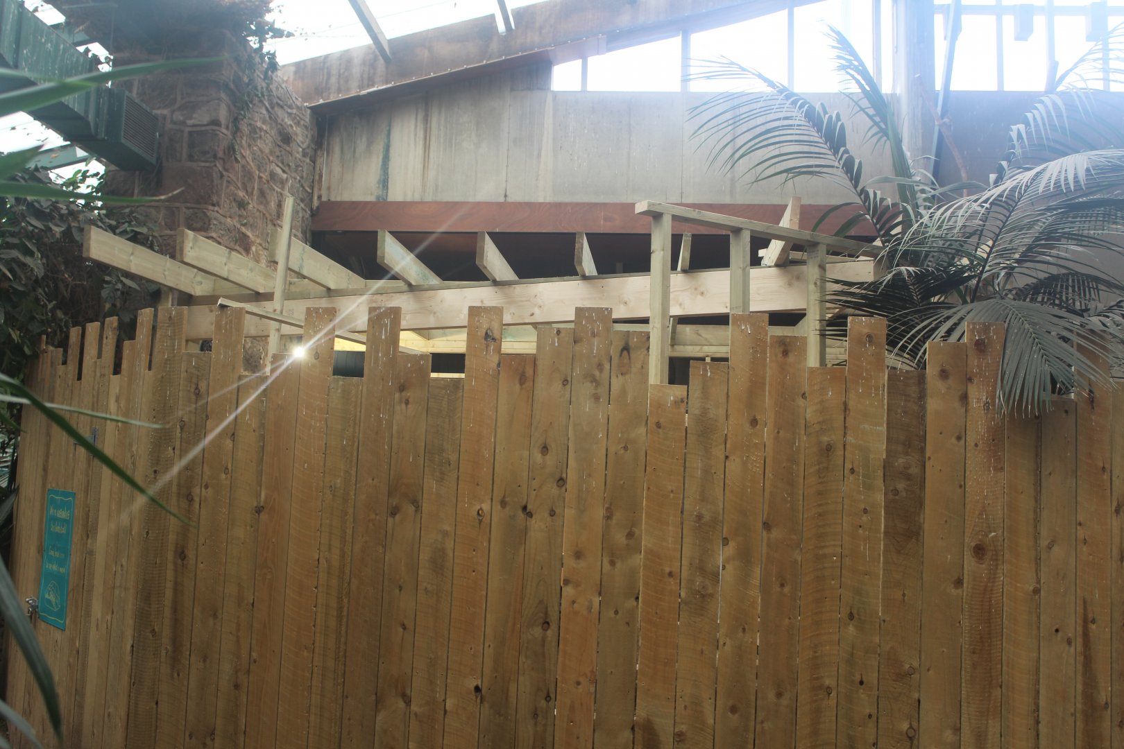 Construction work in Tropical house