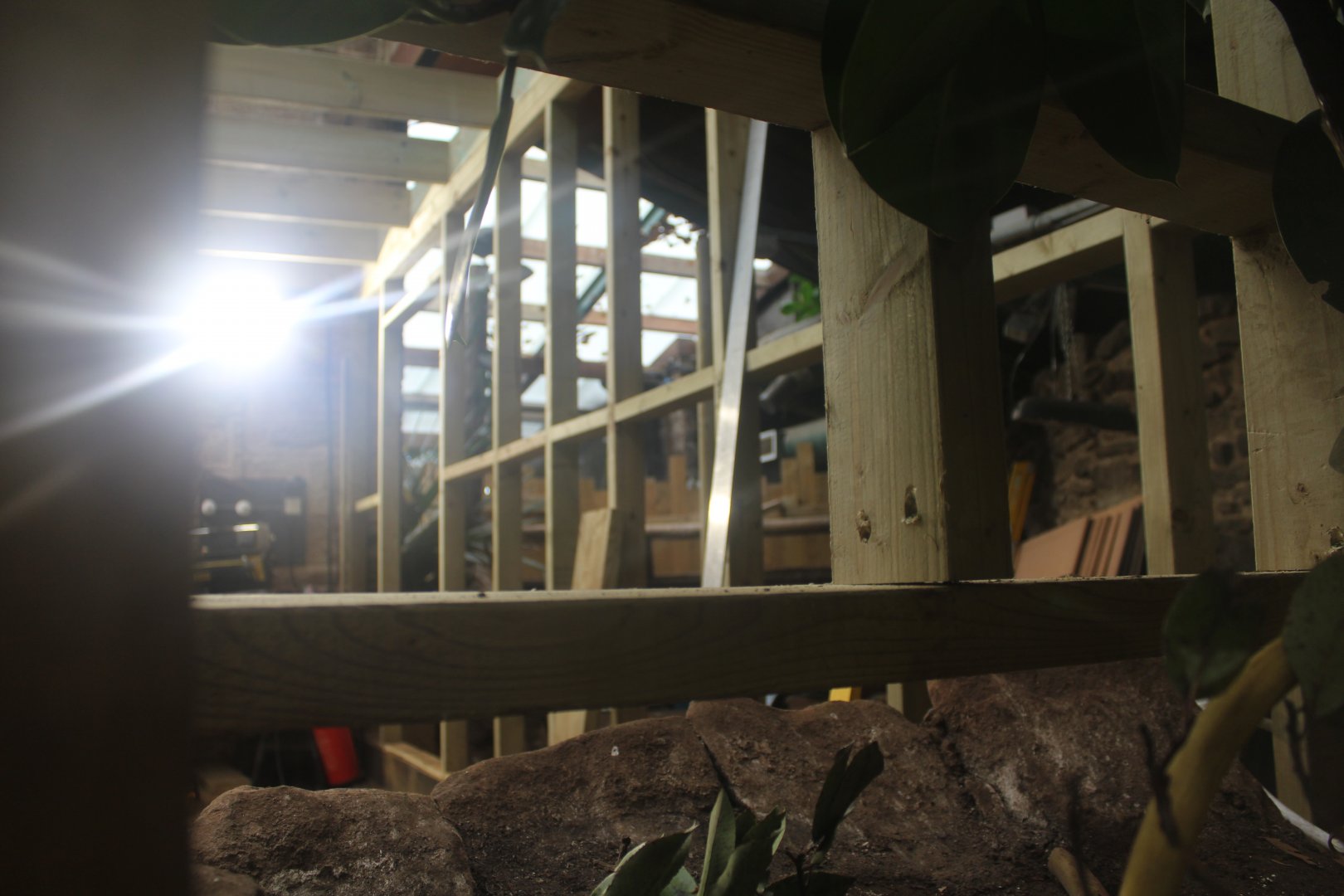 Construction work in Tropical House