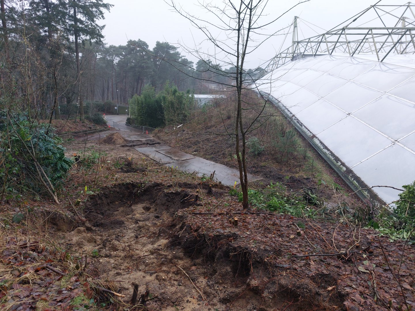 Construction work near Bush entrance